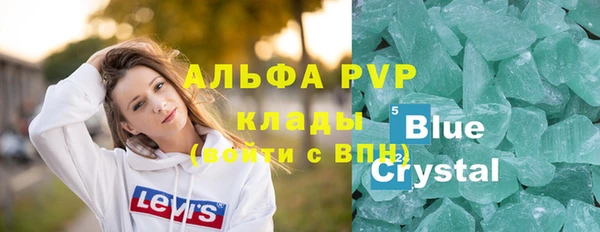 СК Алзамай