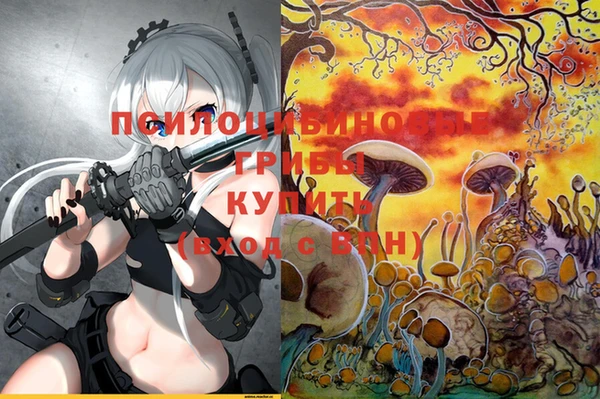 гидропоника Алексеевка
