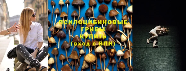 СК Алзамай