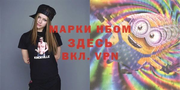 крисы Алексин
